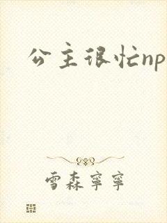 公主很忙npc