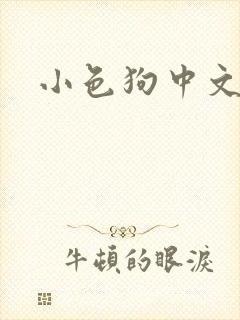 小色狗中文网封面