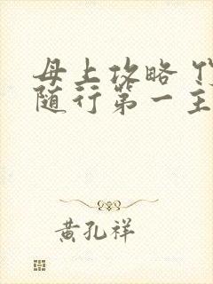 母上攻略 竹影随行第一主板