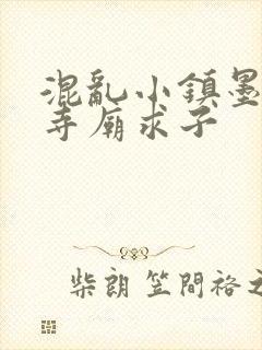 混乱小镇墨池砚寺庙求子封面