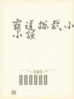 霸道总裁小娇妻小说