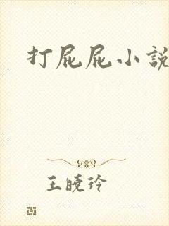 打屁屁小说