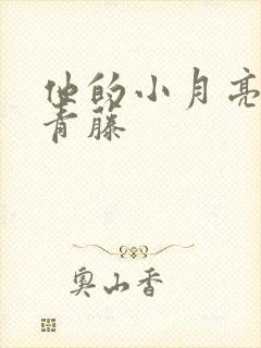 他的小月亮by青藤