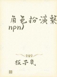 角色扮演系统(npn)封面