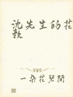 沈先生的花式调教
