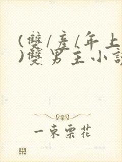(双/产/年上)双男主小说