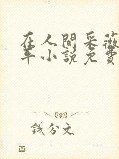 在人间采薇陆三平小说免费阅读封面