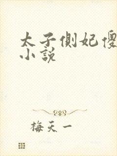 太子侧妃傻乎乎小说