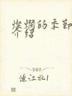 灿烂的季节剧情介绍