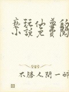 亵玩仙尊的道侣小说免费阅读封面