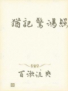 犹记惊鸿照影封面