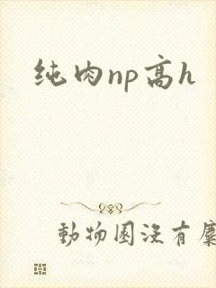 纯肉np高h封面