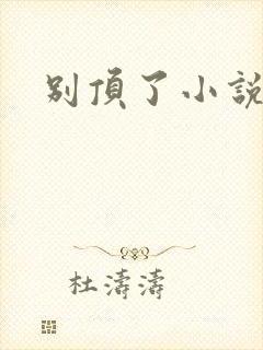别顶了小说