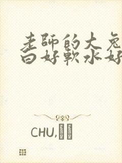老师的大兔子好白好软水好多