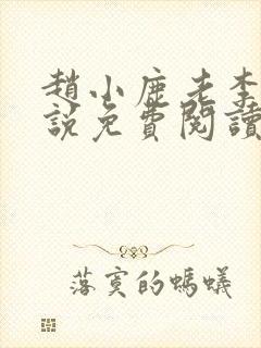 赵小鹿老李的小说免费阅读无弹窗全文