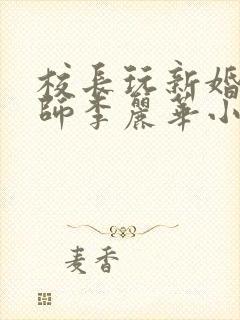 校长玩新婚女教师李丽华小说封面