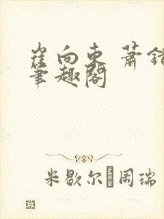 崔向东 萧错 笔趣阁