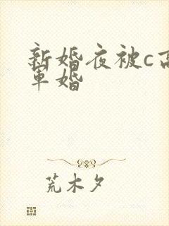 新婚夜被c高h军婚