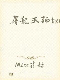 屠龙巫师txt