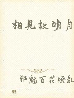 相见故明月