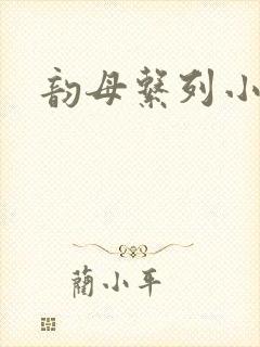 韵母系列小说