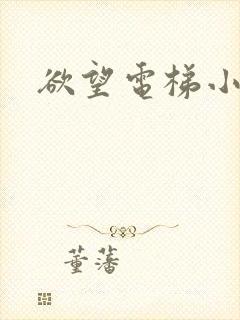 欲望电梯小说