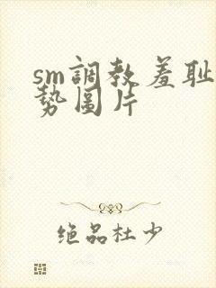 sm调教羞耻姿势图片