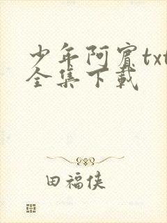 少年阿宾txt全集下载