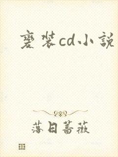 变装cd小说