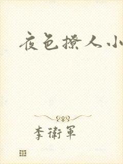 夜色撩人小说封面