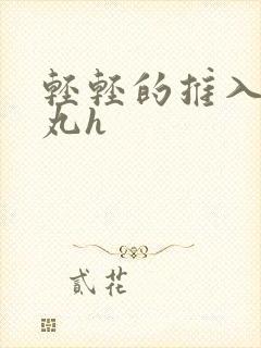 轻轻的推入合欢丸h
