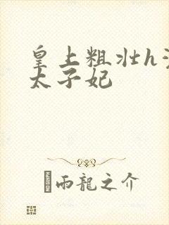 皇上粗壮h灌满太子妃