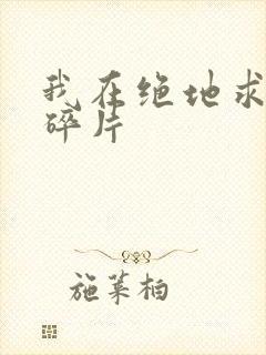 我在绝地求生捡碎片