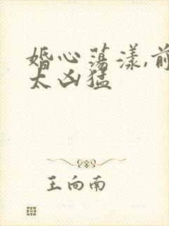 婚心荡漾,前夫太凶猛
