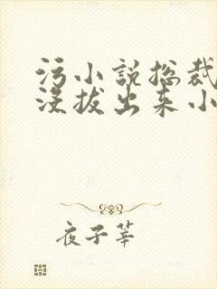 污小说总裁整夜没拔出来小说在线阅读