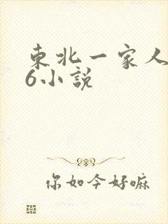 东北一家人1一6小说