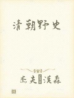 清朝野史