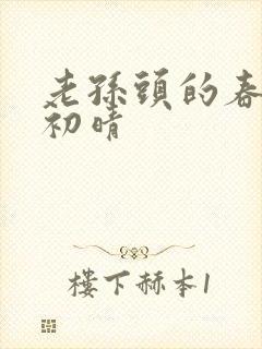 老孙头的春天林初晴