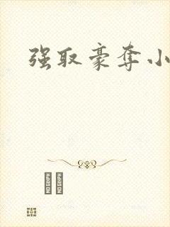 强取豪夺小说