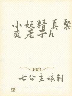 小妖精真紧h嘶爽老子h封面