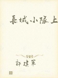 长城小队上中下