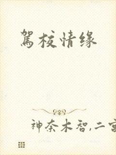 驾校情缘
