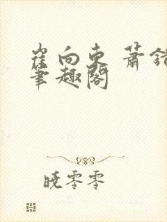 崔向东 萧错 笔趣阁