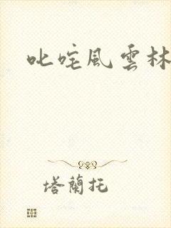叱咤风云林云封面
