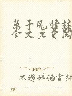 万千风情林小涛全文免费阅读封面