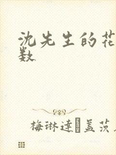 沈先生的花式调数