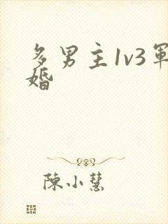 多男主1v3军婚