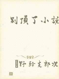 别顶了小说