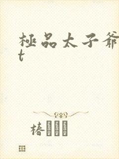 极品太子爷txt