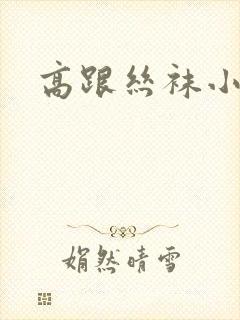 高跟丝袜小说